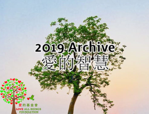 2019 愛的智慧